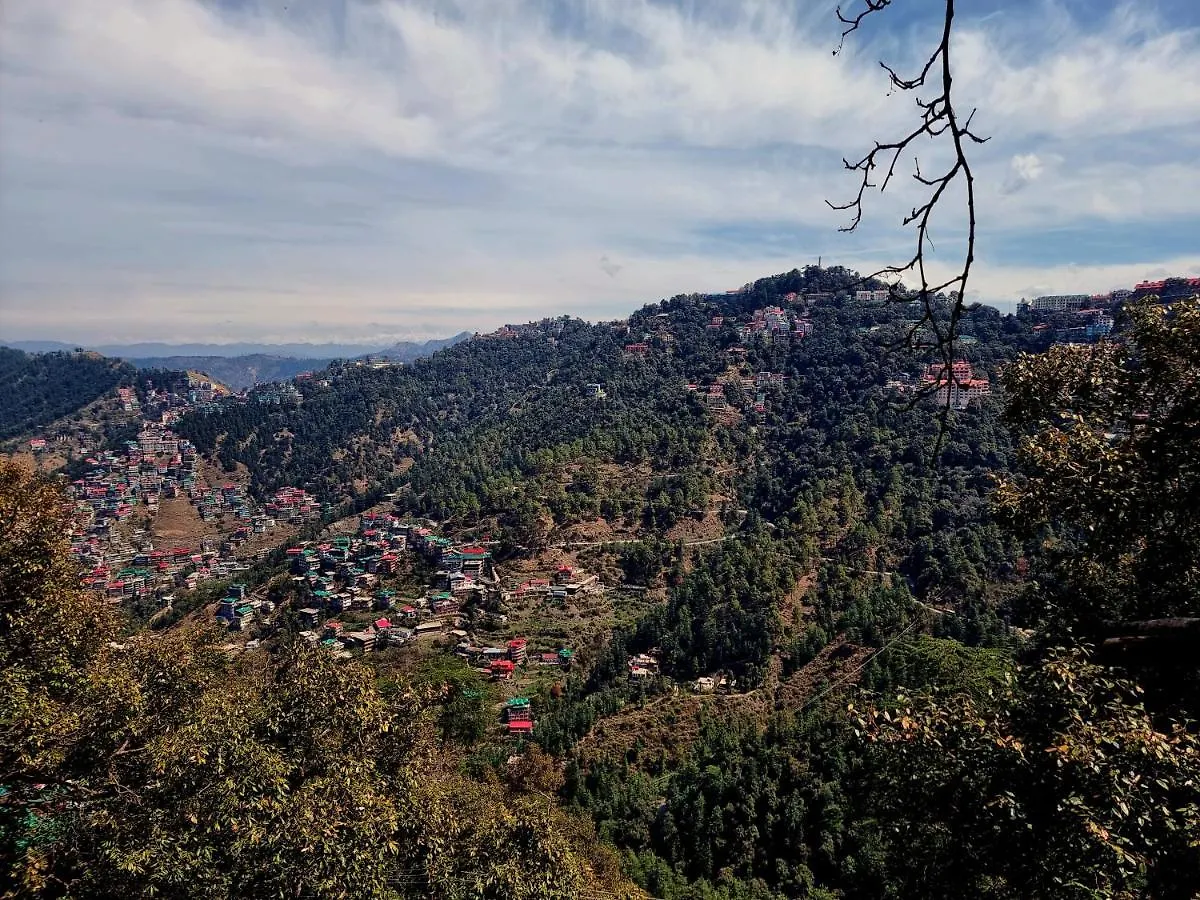 A1 B&B Shimla